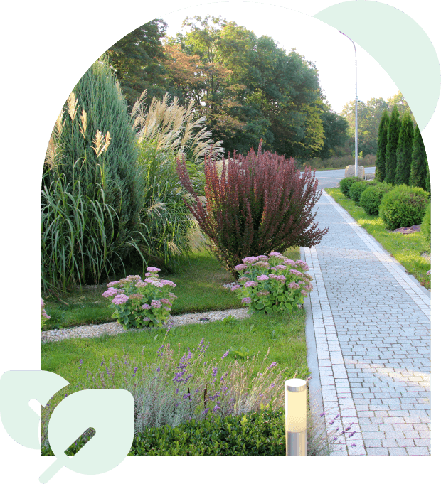 Landscaped garden path with flowers.