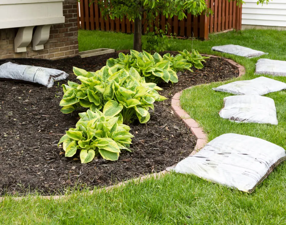 Landscaped garden bed with mulch and stepping stones.